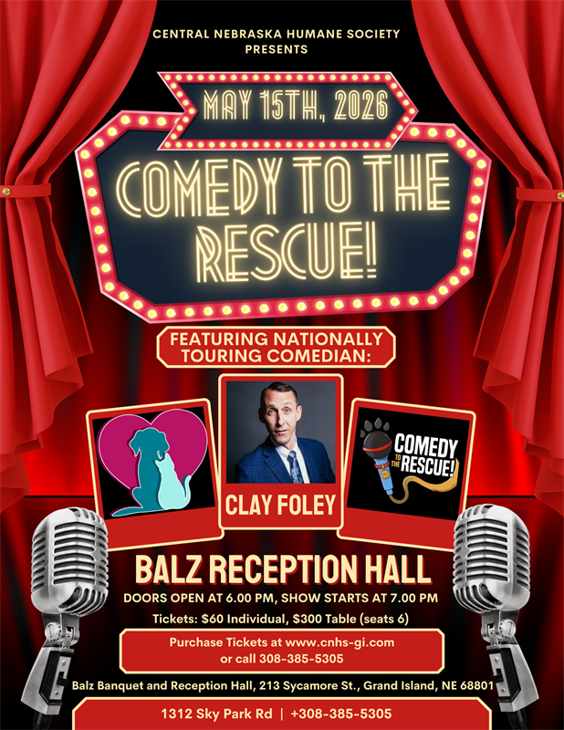Comedy to the Rescue with Clay Foley