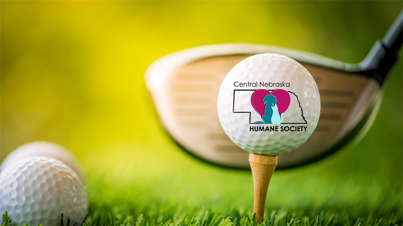 5th Annual CNHS Golf Championship