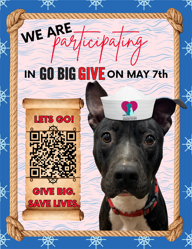 Go BIG Give 2026