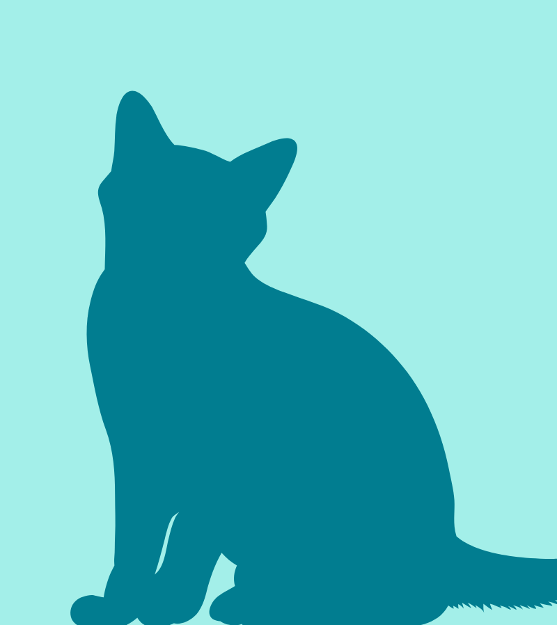 lost cat named Kitty/Papa