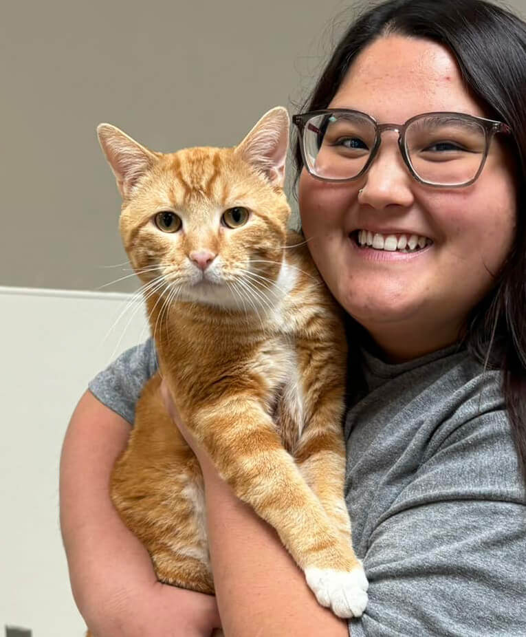 woman adopting a yellow tabby cat