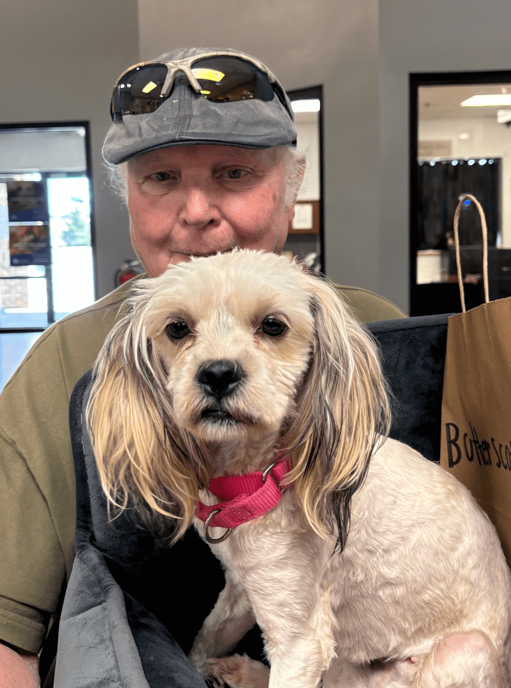 a man adopting a small white dog
