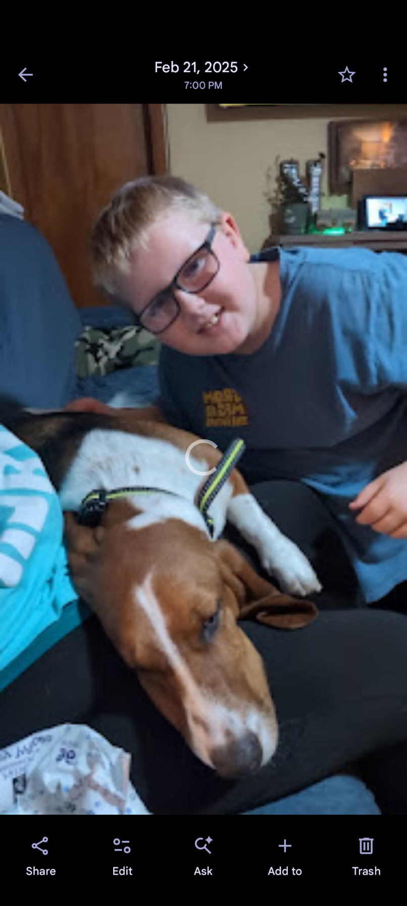 lost dog named Teeter