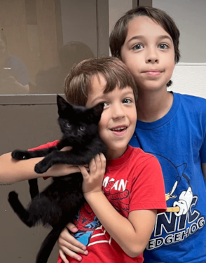 two boys adopting a black cat