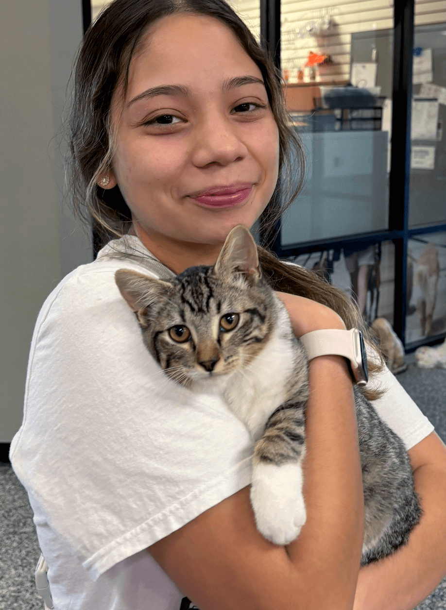 a girl adopting a tabby cat