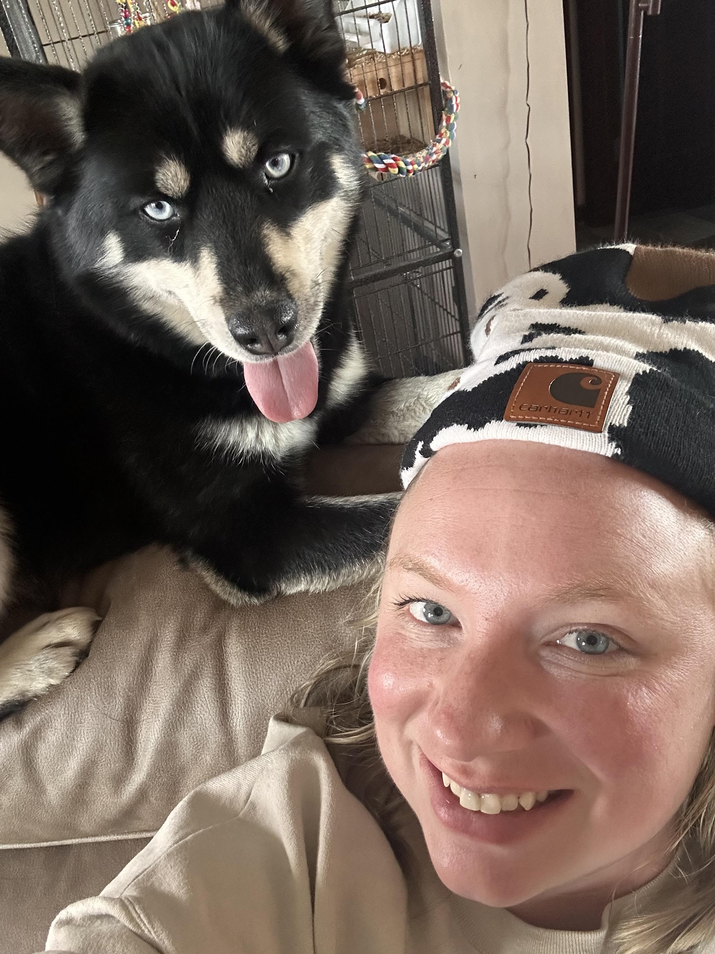 lost dog named Ace