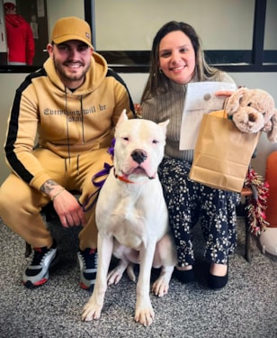 a dog getting adopted by a couple