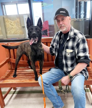 dog getting adopted