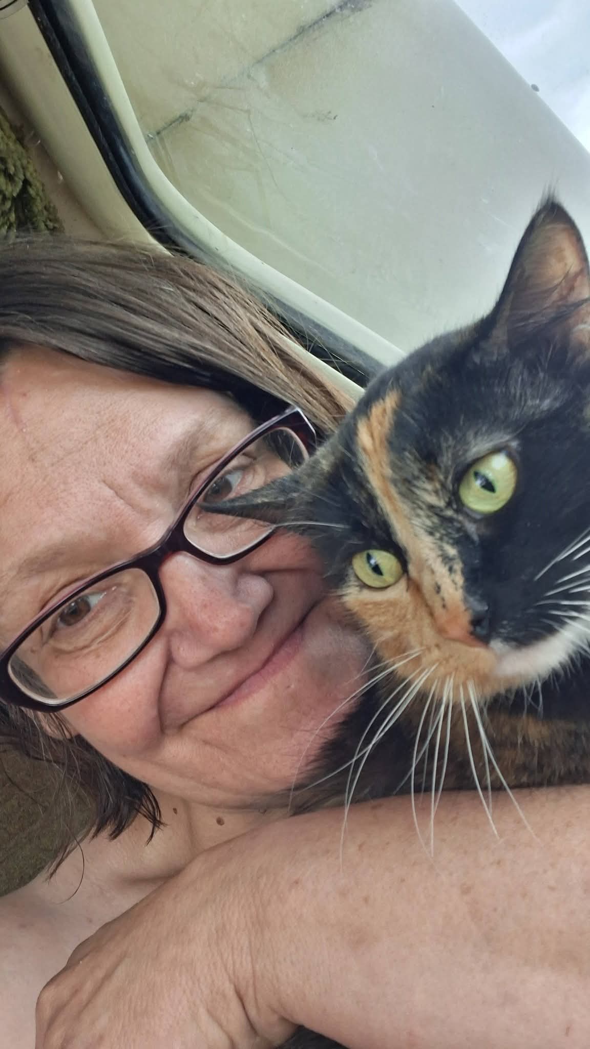 lost cat named Kitten