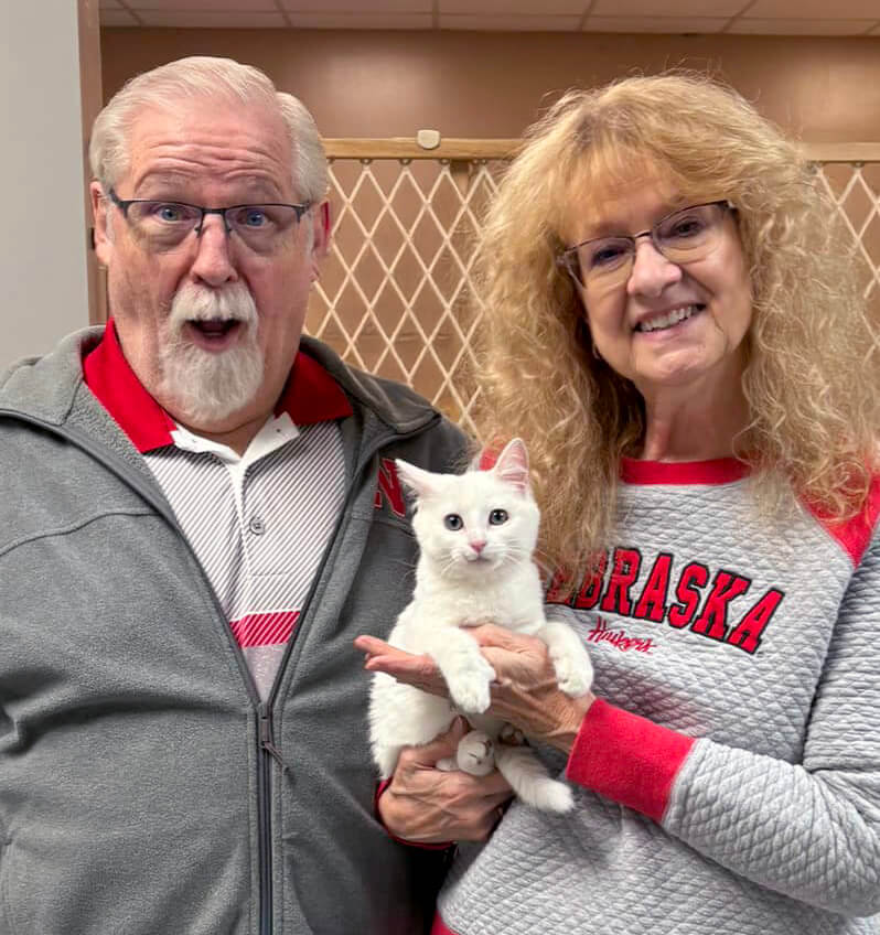 a man and woman adopting a white kitten