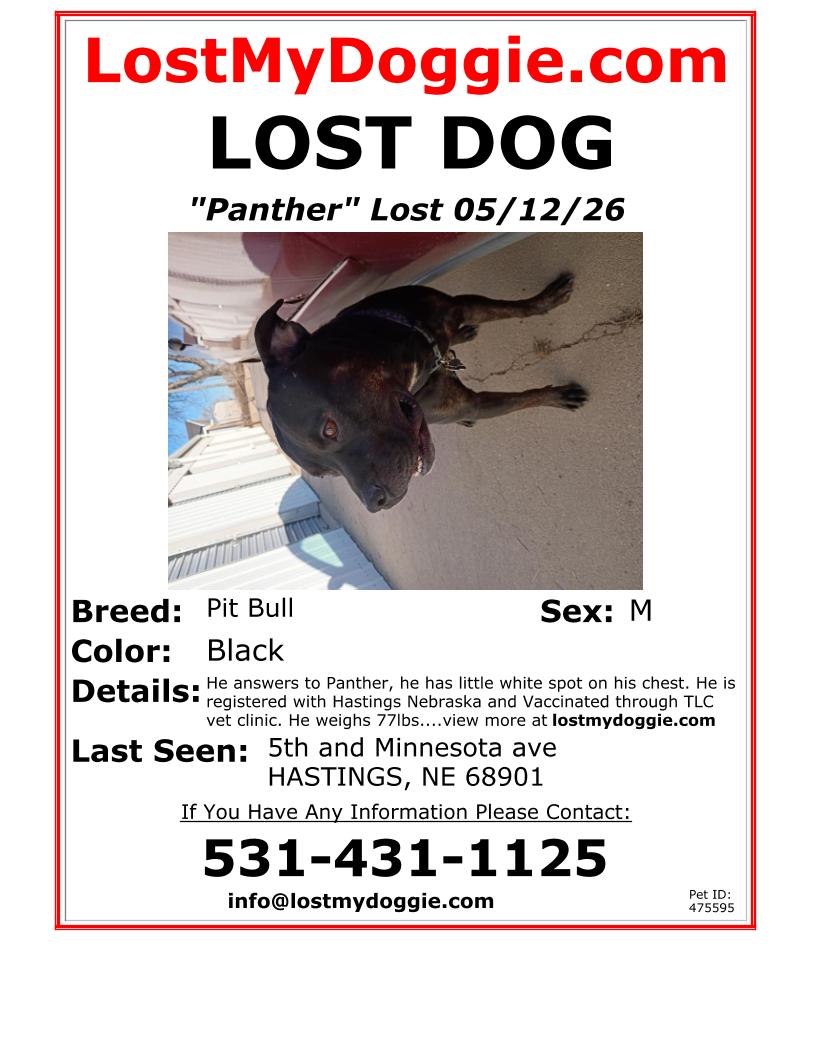 lost dog named Panther